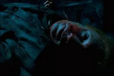 Comment Harry a-t-il vu Mr. Weasley se faire mordre par le serpent ?