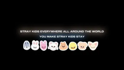 Quel est le Skzoo de F&eacute;lix ?