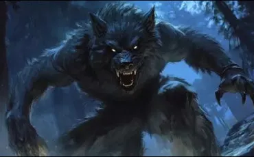 Quiz Culture g�n�rale