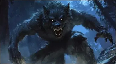 Quel est son autre nom ?