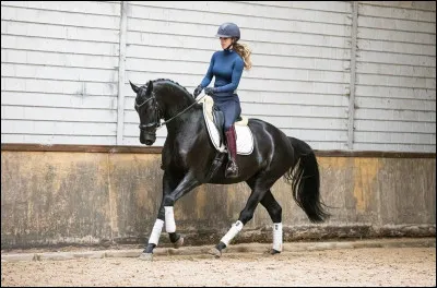 Quel est le point commun entre la diagonale et la demi-volte ?