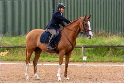 Les serpentines &agrave; nombre de boucles paires font changer de main :