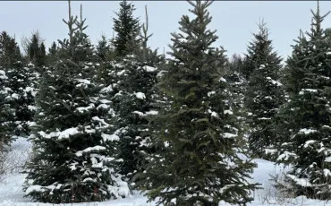 Quiz Culture g�n�rale