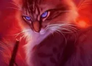 Quiz Devine les chats de LGDC