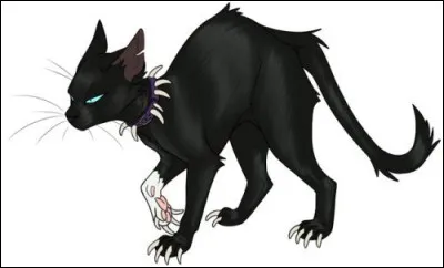 Quant &agrave; lui, le connais-tu ?