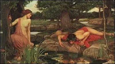 R&eacute;alis&eacute;e en 1903, ''&Eacute;cho de Narcisse'' est une peinture mythologique du pr&eacute;rapha&eacute;liste...