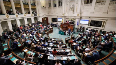 Au niveau f&eacute;d&eacute;ral, les normes adopt&eacute;es par le Parlement s�appellent surtout�