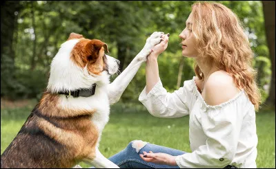 La th&eacute;rianthropie est une connexion particuli&egrave;re ou une forte affinit&eacute; avec un animal en particulier.