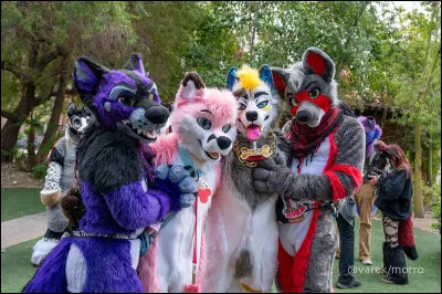 La th&eacute;rianthropie c'est comme le furry.