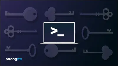 Quel est le nom de l'impl&eacute;mentation SSH l&eacute;g&egrave;re qui remplace OpenSSH sur la quasi-totalit&eacute; des syst&egrave;mes OpenWrt et IoT ?