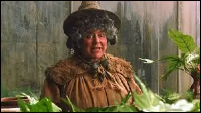 Combien de points donne le Chourave &agrave; Gryffondor, quand Harry lui passe l'arrosoir ?