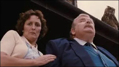 Apr&egrave;s l'attaque des D&eacute;traqueurs, combien de hiboux rentrent par la fen&ecirc;tre de la maison des Dursley ?