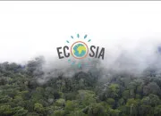 Quiz Les logos des moteurs de recherche