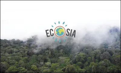 Quel est ce moteur de recherche ? Attention les questions peuvent comporter des pi&egrave;ges tr&egrave;s b&ecirc;tes !,