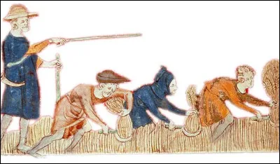 Un serf est l'&eacute;quivalent d'un esclave.