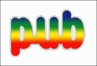 Quelle est l'enseigne ou la marque dtourne ?