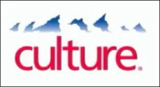 Quelle est l'enseigne ou la marque dtourne ?