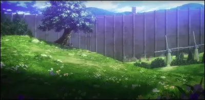 D'o&ugrave; vient-il ?