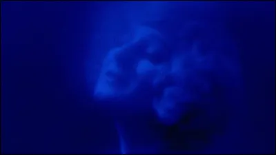 Quel animal se rapproche le plus de ton animal totem ?