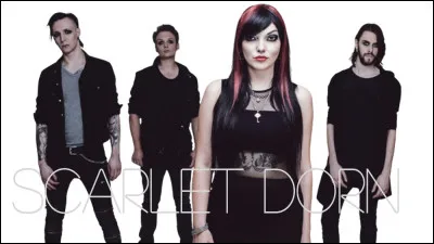 Le titre de cette chanson commence par "Unstill". Quelle est la suite ?