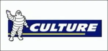 Quelle est l'enseigne ou la marque dtourne ?