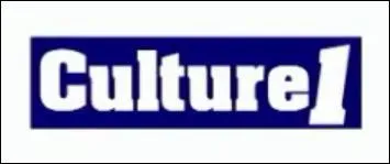 Quelle est l'enseigne ou la marque dtourne ?