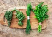 Quiz Cuisine : les plantes aromatiques
