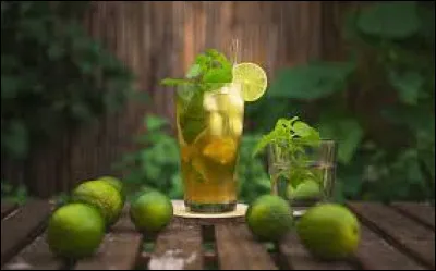 Quelle plante rentre dans la composition du mojito ?