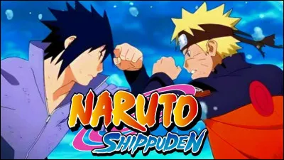 Quel est ton personnage pr&eacute;f&eacute;r&eacute; de ''Naruto'' entre ces quatre ?