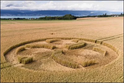 Quel est le nom de ces motifs g&eacute;om&eacute;triques qui apparaissent brusquement dans des champs de c&eacute;r&eacute;ales, g&eacute;n&eacute;ralement avant la r&eacute;colte en &eacute;t&eacute;, en l'espace d'une nuit ?