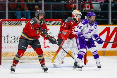 Pour finir, penses-tu que le hockey sera ta passion ?