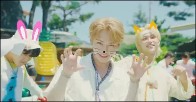 De quel MV provient cette photo ?