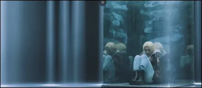 De quel MV provient cette photo ?