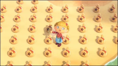 Comment s'appelle la monnaie sur votre &icirc;le ?