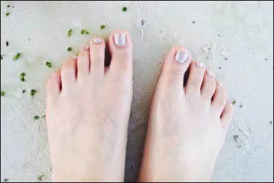 Combien d'os compte un pied ?