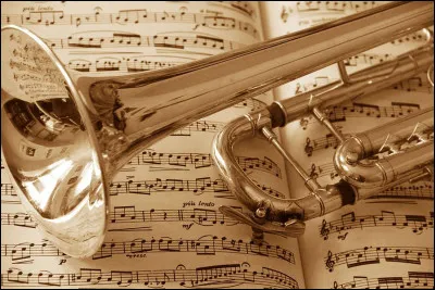 Quel est cet instrument de musique ?