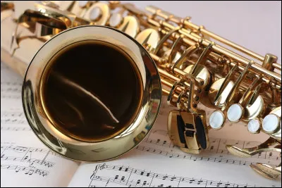 Quel est cet instrument de musique ?