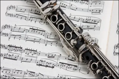 Quel est cet instrument de musique ?
