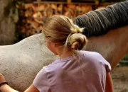 Quiz �quitation - Les brosses