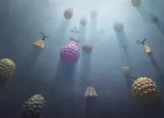 Quiz Les fruits du d�mon dans ''One Piece''