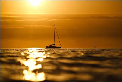 Il y a du soleil dehors et il fait bon.Que fais-tu ?