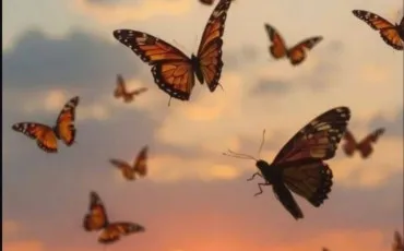 Quiz Test de personnalit�