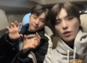 Test Es-tu plus Dino ou Hoshi ?