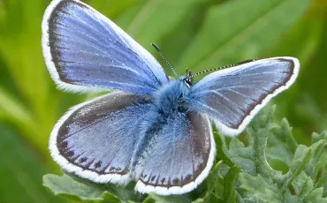 Quiz Culture g�n�rale