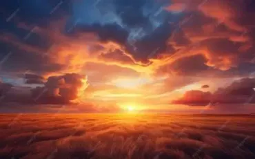 Quiz Test de personnalit�