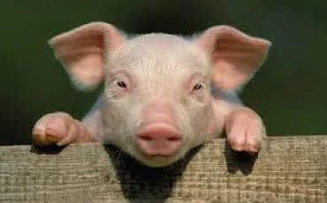 Quiz Culture g�n�rale