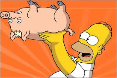 Spider-Cochon est un cochon qui porte des cheveux blonds dans les "Simpson".
