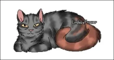 Q - Queue BlancheQuel est son nom de guerri&egrave;re ?