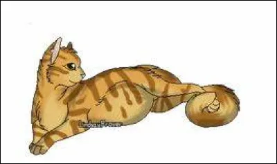 B - Bouton-d'OrQui sont ses compagnons ?