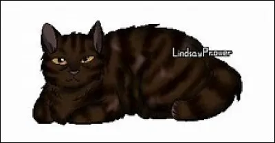 D - Demi-QueueComment a-t-il perdu la moiti&eacute; de sa queue ?